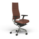 A modern and ergonomic executive chair with adjustable lumbar support and a polished aluminum base.