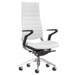 A modern and ergonomic executive chair with adjustable lumbar support and a polished aluminum base.