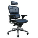 Blue Mesh Executive Chair