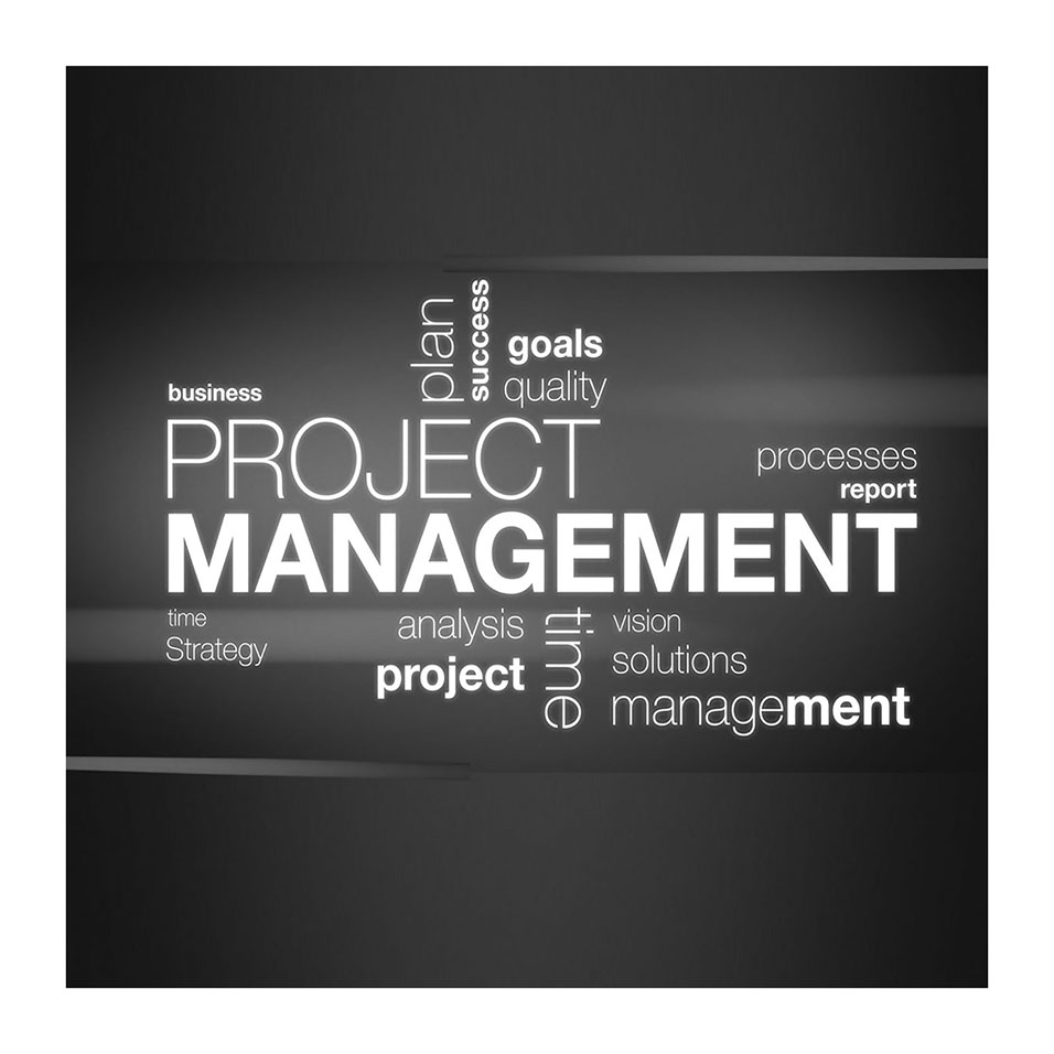 Project-Managers analyze, strategize, and offer solutions for a successful end result