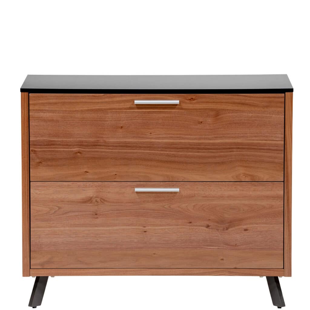 Hugo 2 Drawer Lateral File Cabinet in Black with American Walnut Frame