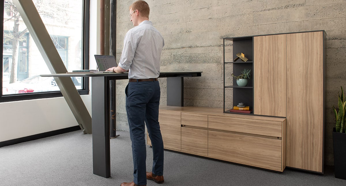 Sit To Stand Private Office Desk